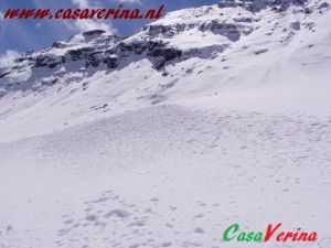 foto233